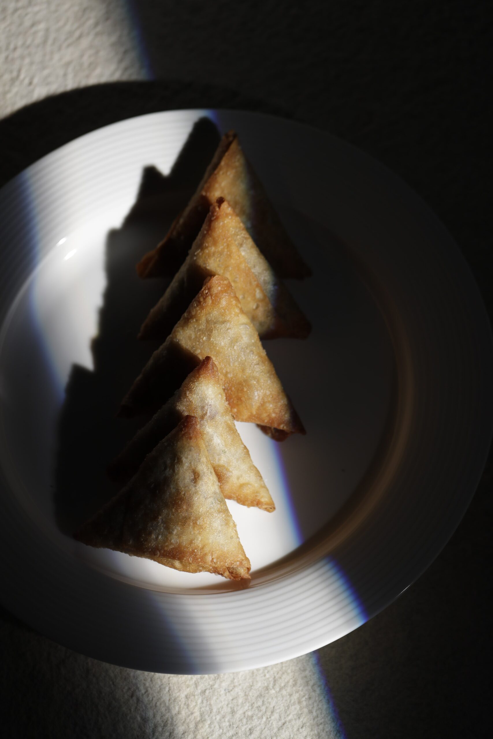 Beef-Style Samosa